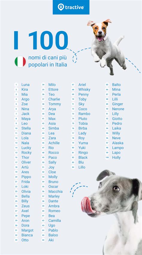 100 nomi per cani maschi: idee belle e originali! .